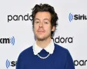 Harry Styles Opens Up About Feeling Very Alone After One Direction Breakup