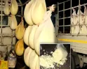 70 Quintals of Suspected Adulterated Paneer Seized in Cuttack