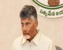 Andhra CM Seeks Centre’s Support For Aquaculture And Tobacco Farmers