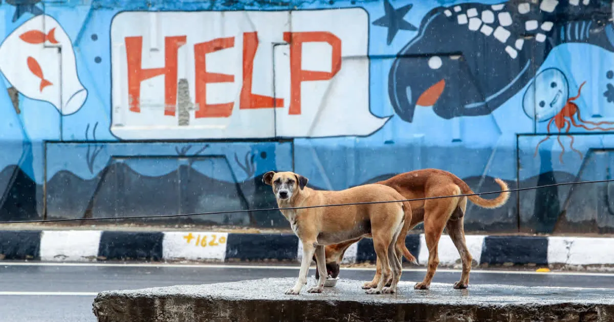 300 Stray Dogs Killed in Telangana: 9 Including Sarpanches Booked