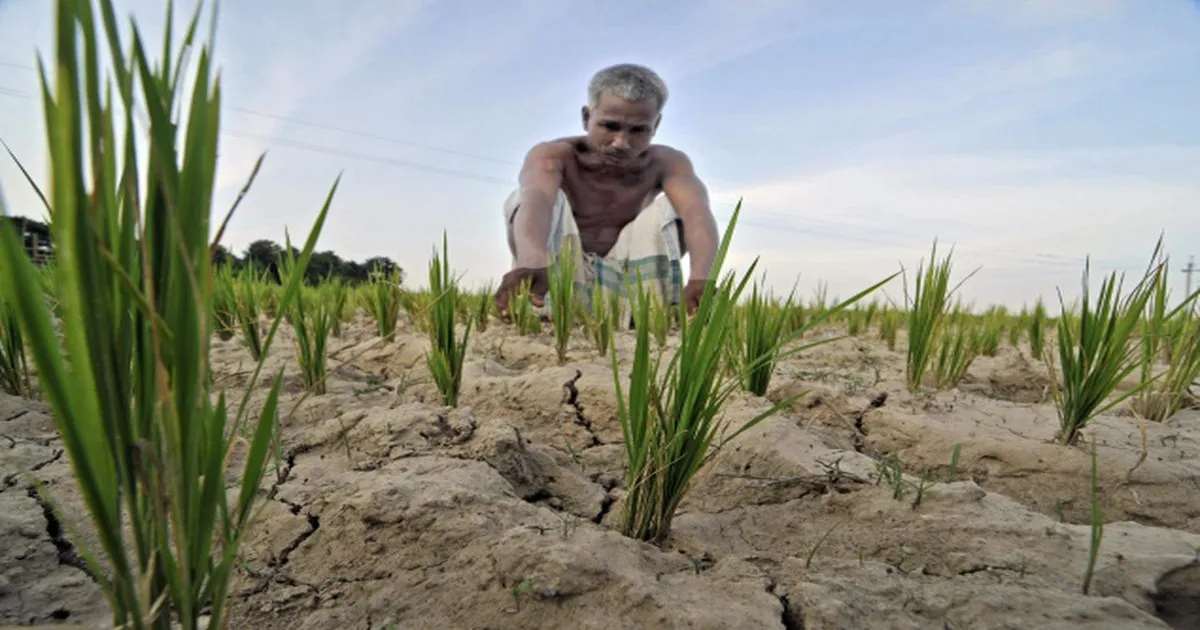 Maharashtra Reports 6,667 Farmer Suicides In 2023 Amid Insurance Profit Surge