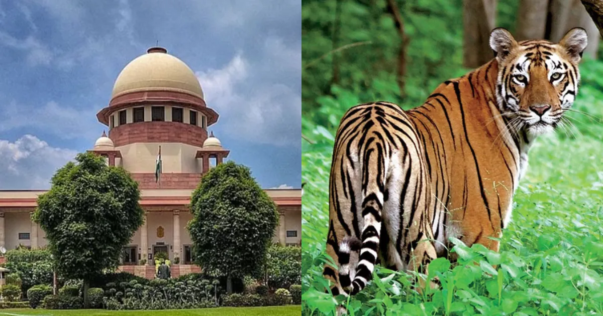 Activist Moves Supreme Court to Revive Corbett Tiger Poaching Probe, Alleges Court Was Misled
