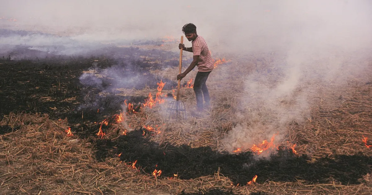 Punjab, Haryana Achieve 90% Drop in Stubble Burning: Centre's Update to Parliament​