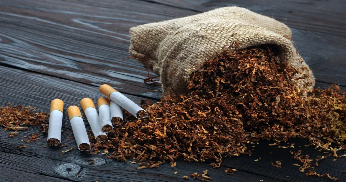 Cigarettes and Pan Masala Face New Excise Duty and Health Cess Starting February 1