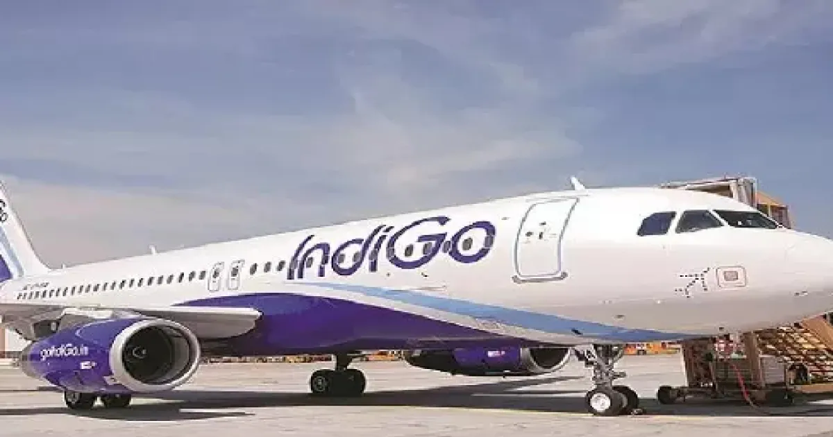 IIT Student’s Emergency Door Stunt Shocks Passengers!