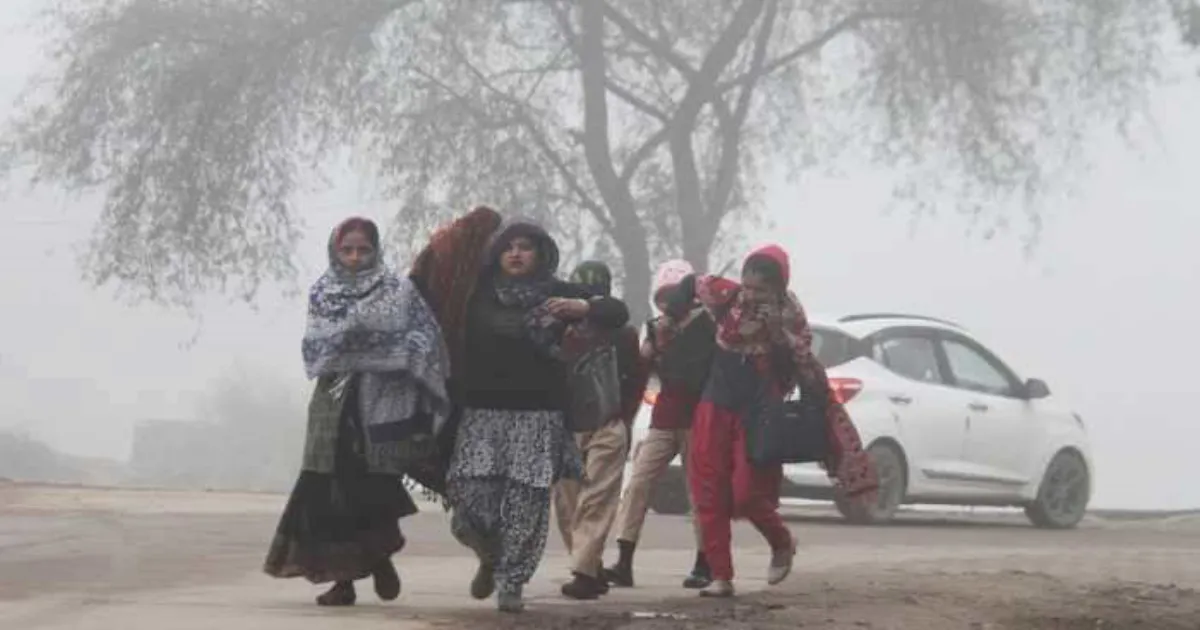 Cold Wave and Dense Fog Set to Grip India: IMD Issues Warnings Across States