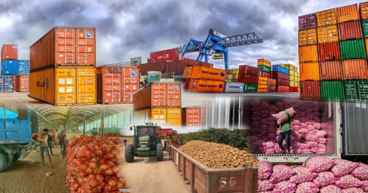 India’s YTD Agricultural Exports Surge, Signaling Farm Sector Revival