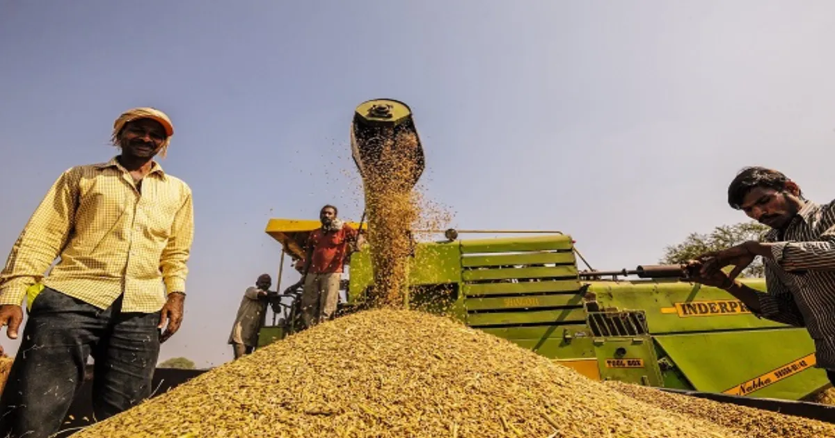US Trade Demands Could Crush Indian Farmers, NGO Sounds Alarm