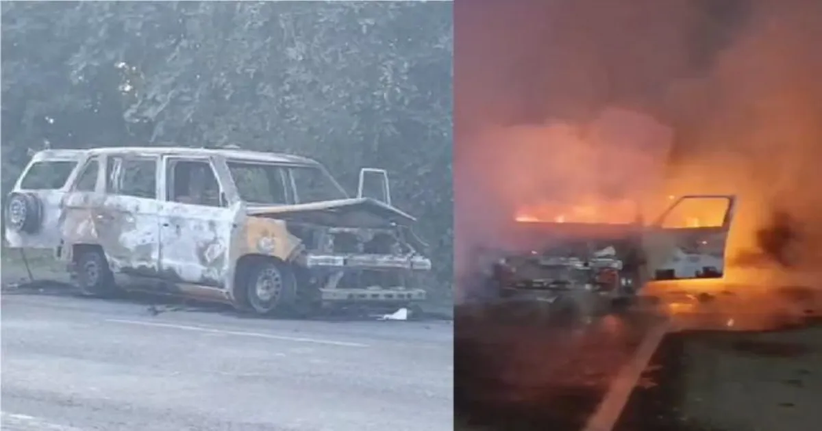 Gujarat ICU Ambulance Catches Fire, Killing Newborn and Three Others