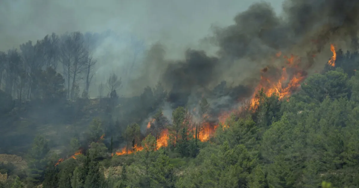 Deadly Wildfire Devastates Southern France