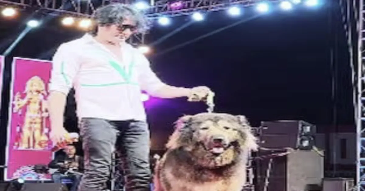 Agency Knocks on Dog Man! ED Visits Bengaluru Man Who Imported a Rs 50 Crore Dog