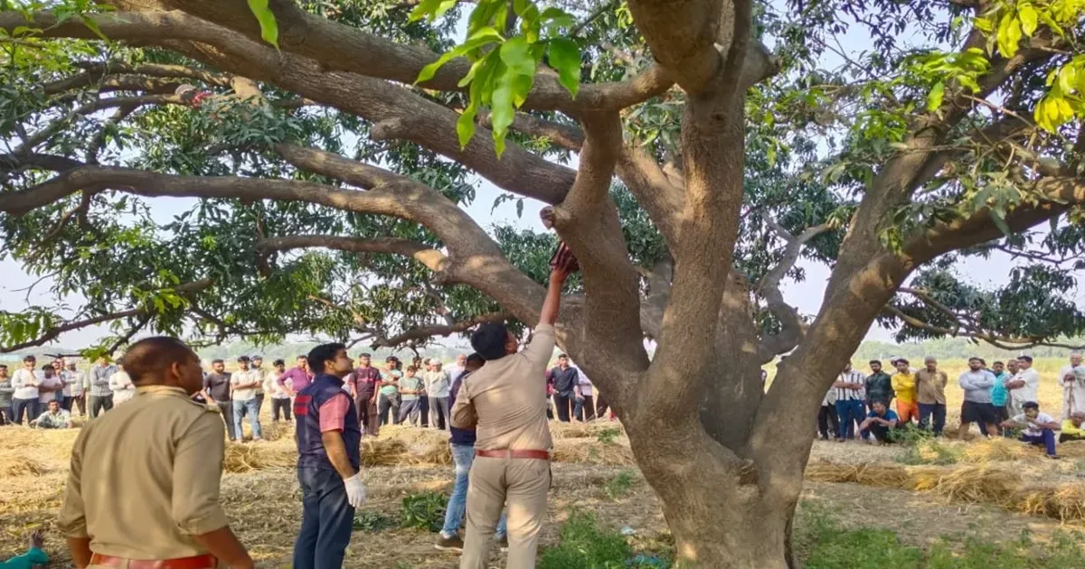 Tragic End in Bulandshahr! Lovers Found Hanging from Mango Tree