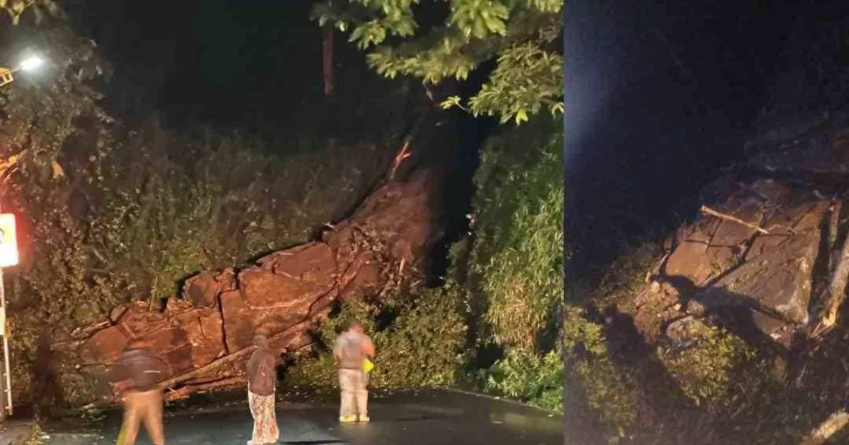 Kerala’s Thamarassery Ghat Road Under NIT Scrutiny After Mudslides