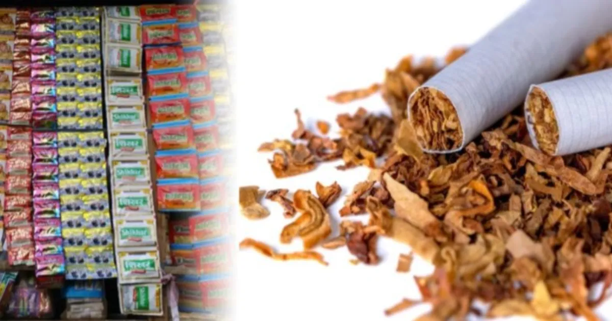 Massive Gutkha Haul Worth Rs 53 Lakh Seized in Bhiwandi Crackdown