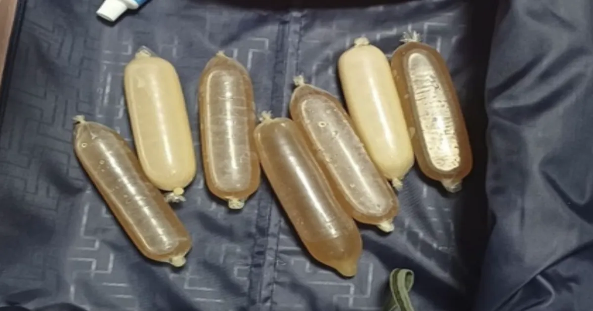 Major Drug Bust! Brazilian National Nabbed at Mumbai Airport with Rs 11.1 Crore in Cocaine