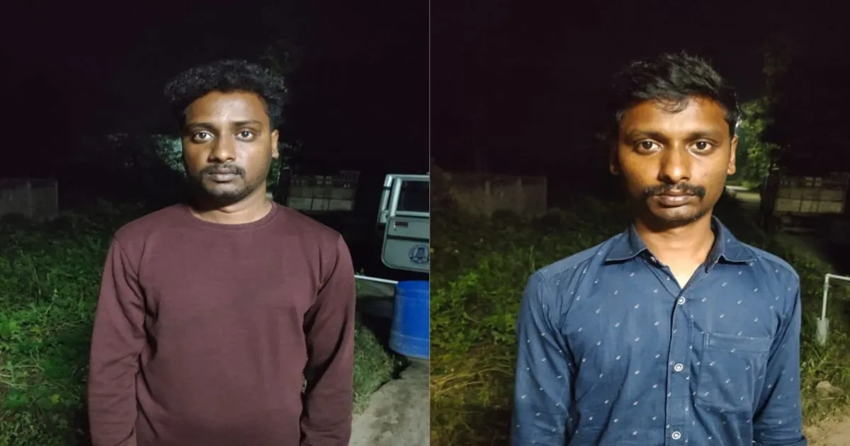 Sons Buy Krait Snake for Rs 1.5 Lakh to Kill Father for Rs 3 Crore Insurance Money