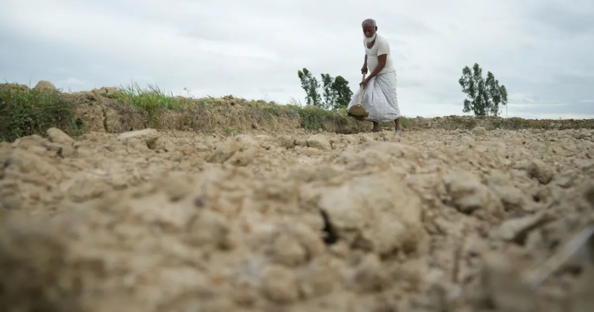 monsoon-miracle-heavy-rains-revive-drought-stricken-mad