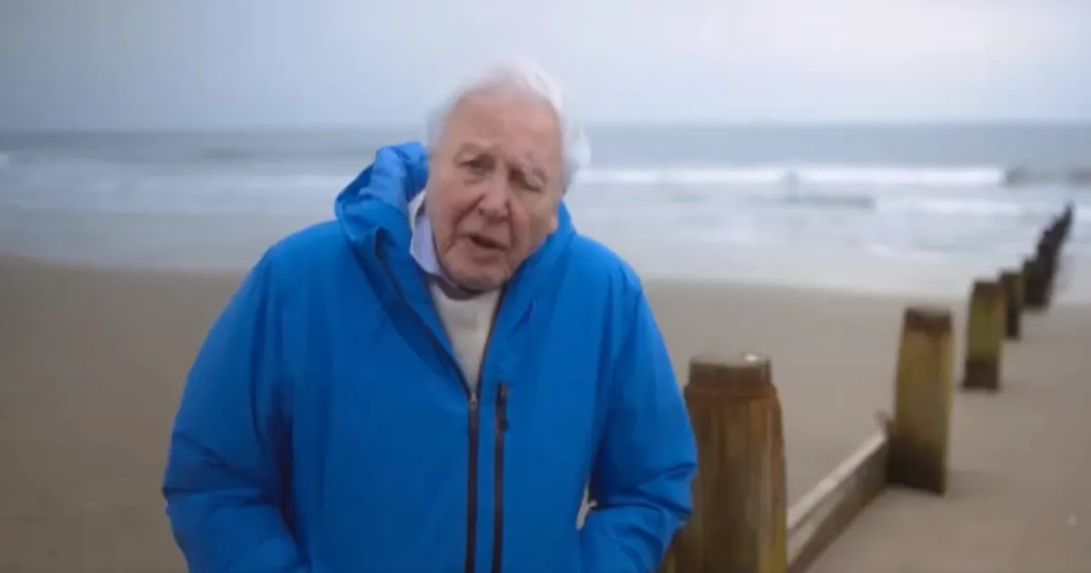 Sir David Attenborough Reflects on The End of His Life in New Ocean Documentary