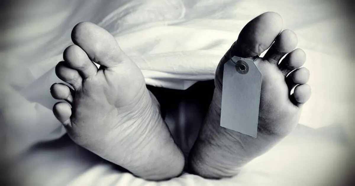 Tragic Fall: 12-Year-Old Dies in Nagpur After Fleeing Barking Stray Dog