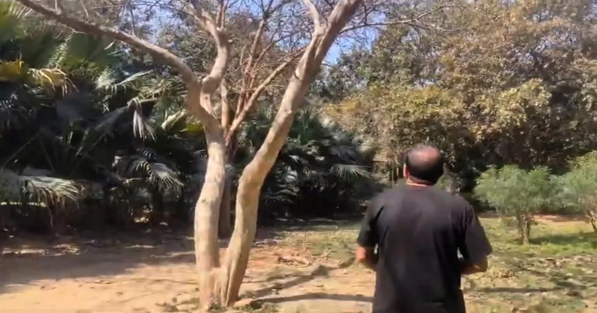 DELHI SHOCKER! Man and Woman Found Hanging on Tree in Deer Park