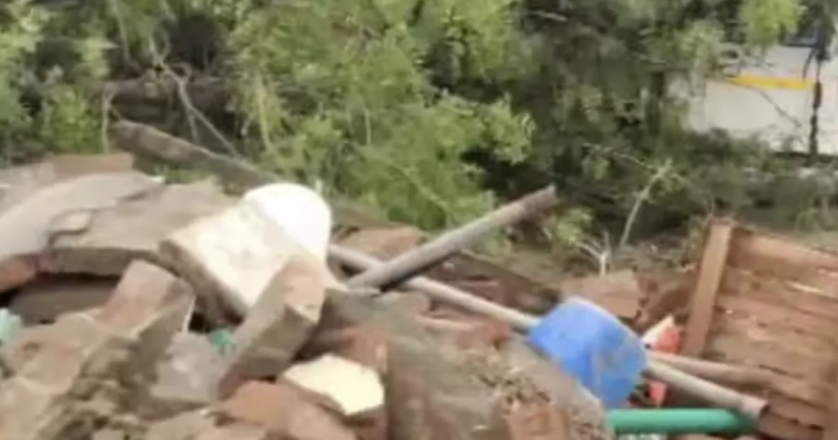 Delhi Rain Tragedy! Mother, 3 Children Crushed to Death As Tree Falls on Home