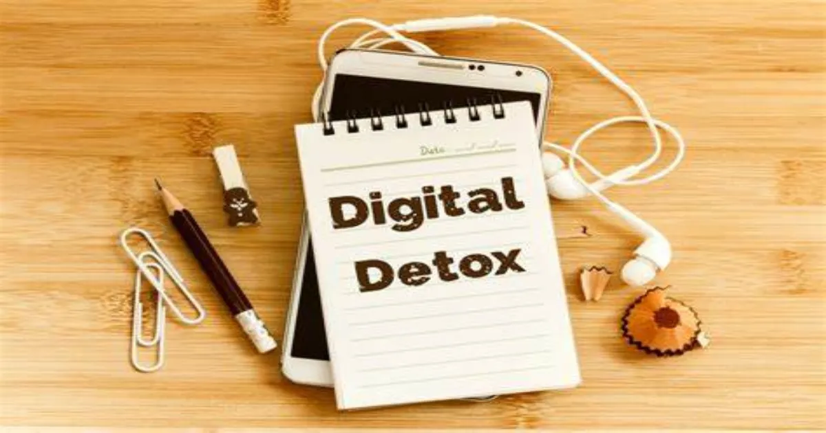 turn-off-the-lights-digital-detox-with-nature-and-cultu