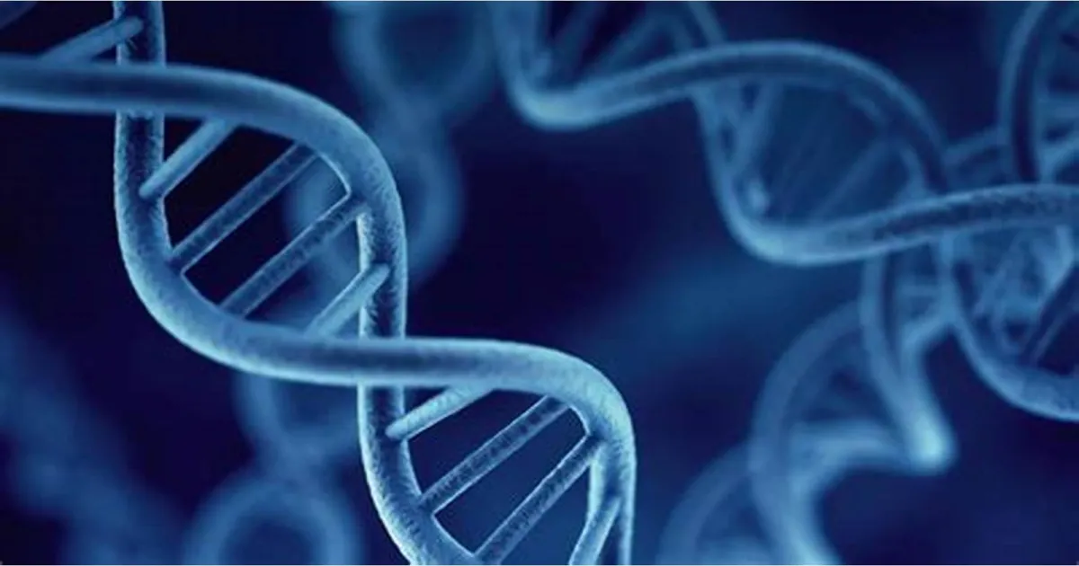 endogamy-flags-genetic-study-reveals-high-inbreeding-ra