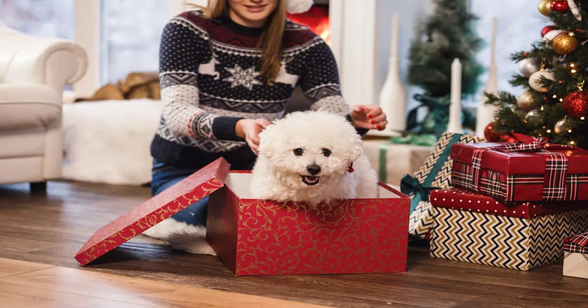 Holiday Gifting: What To Know Before You Give Someone a Pet