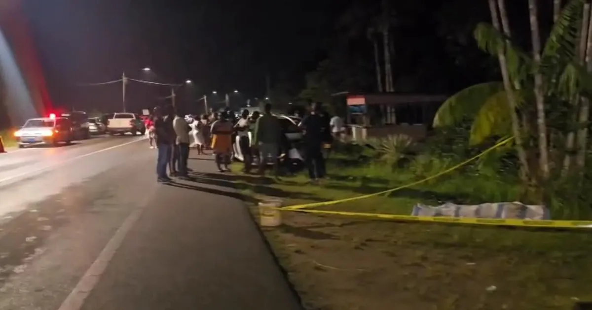 Nine Dead Including Five Children in Suriname Knife Attack