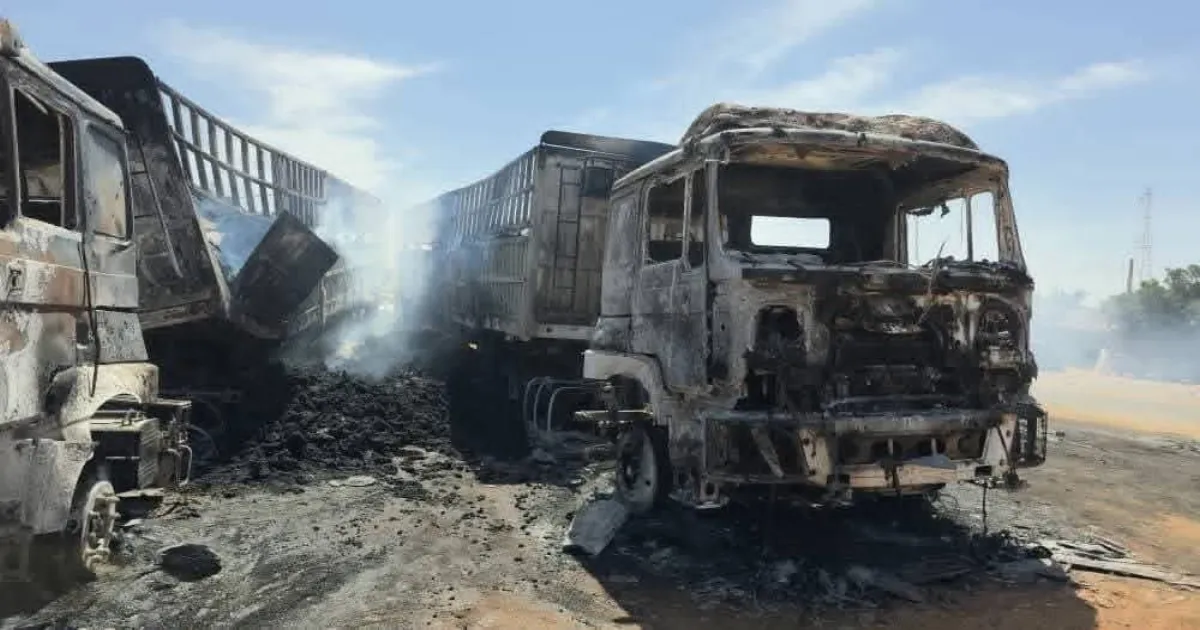 Drone Attack By RSF in Sudan Kills 24 Civilians, Eight Children Among Victims