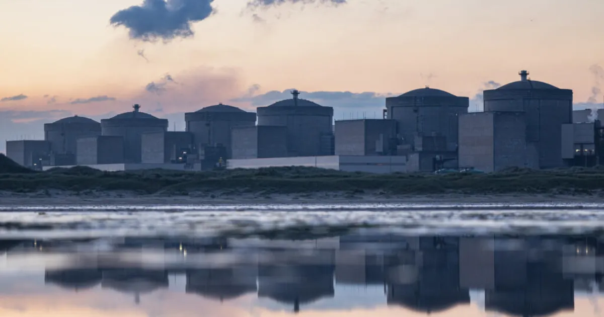 Jellyfish Swarm Forces Shutdown Of France’s Largest Nuclear Plant