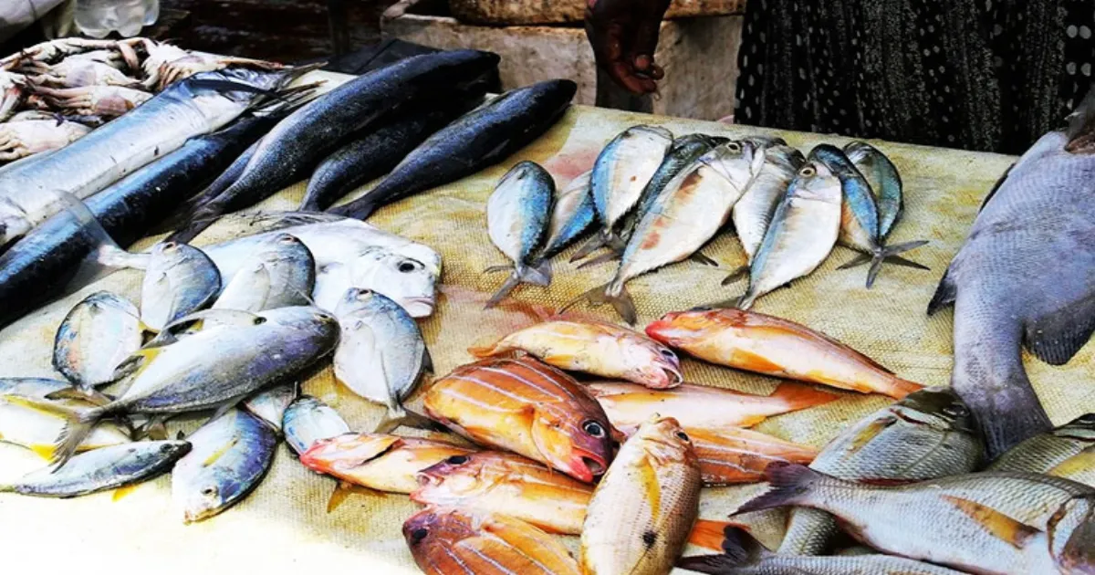 Koraput Bans All Non-Veg Sales on Republic Day to Promote Non-violence?