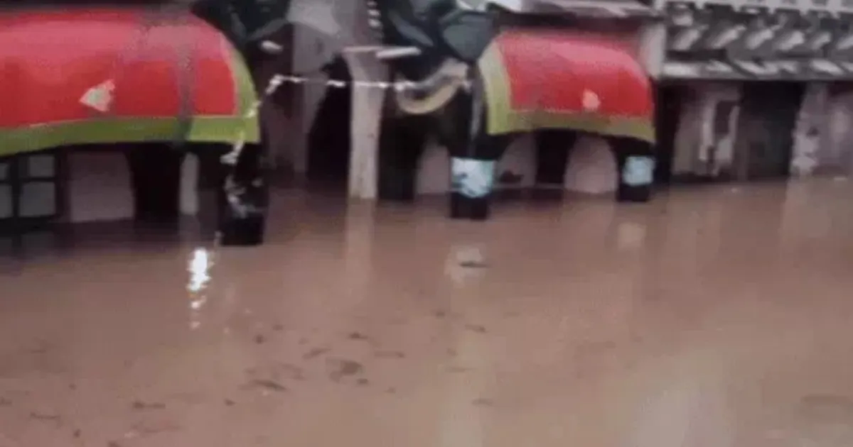 Two Killed as Rains Batter Rajasthan