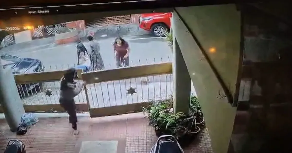 Bengaluru Software Engineer Attacked by Neighbour’s Dog, Needs 50+ Stitches