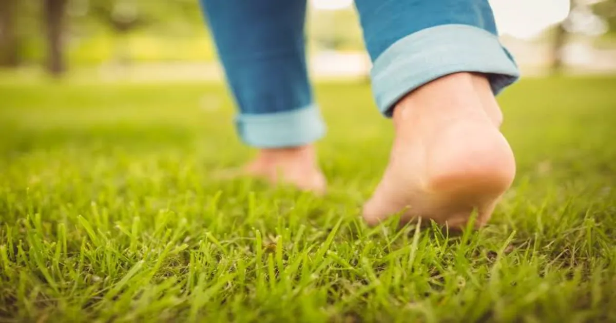 Grounding With Mother Earth: Reconnecting for Heath and Wellness