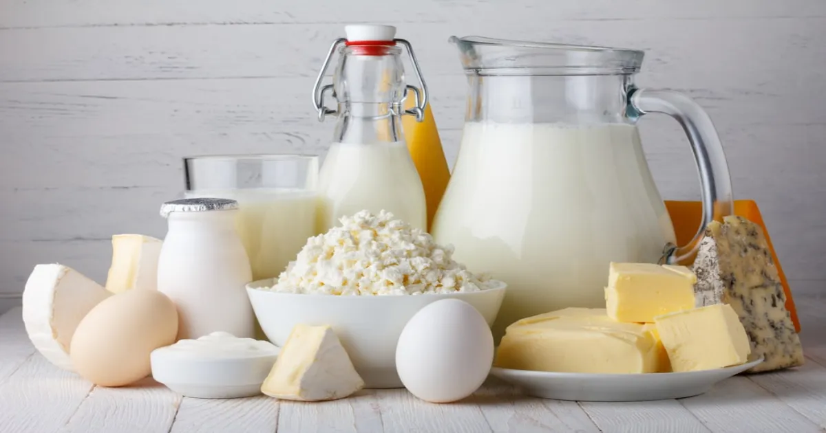 GST Cuts to Skyrocket India’s ₹19 Lakh Crore Dairy Industry