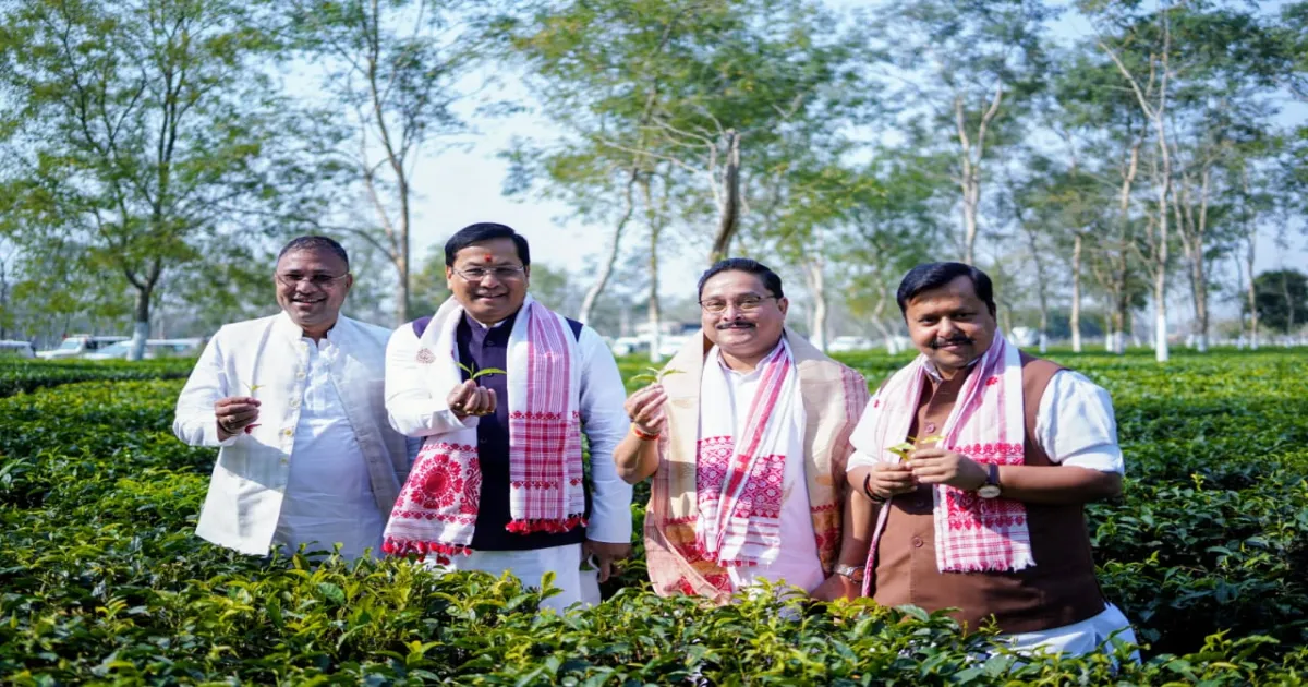 Nitin Nabin Credits Tea Garden Workers for Assam Tea's Worldwide Recognition