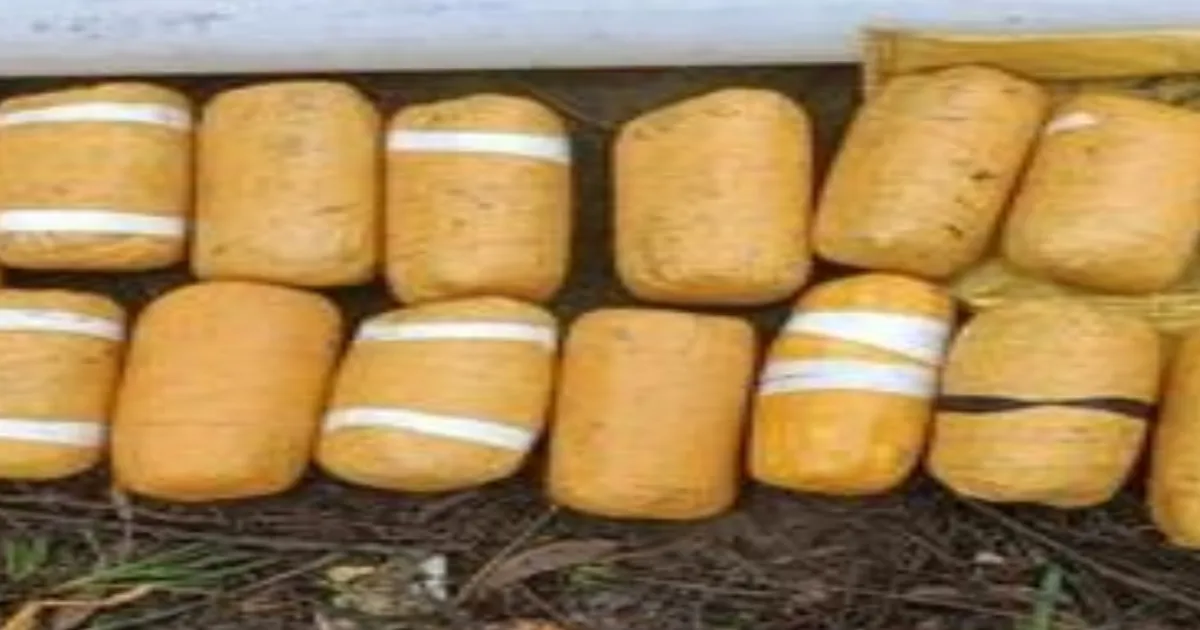 MAJOR DRUG BUST! BSF Seizes Rs 5 Crore Heroin Packet Dropped by Pakistani Drone
