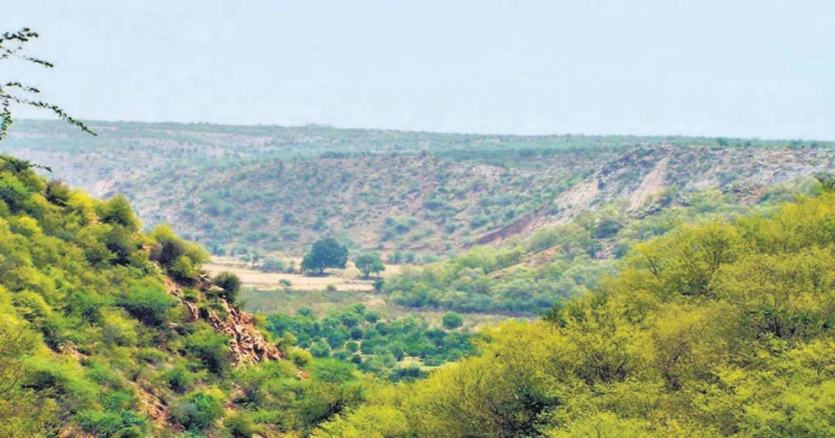 Experts Raise Concerns As Centre Proposes New Green Clearance Authorities