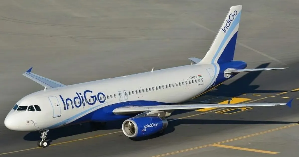 IndiGo Flight Lands Safely in Varanasi After Bird Strike