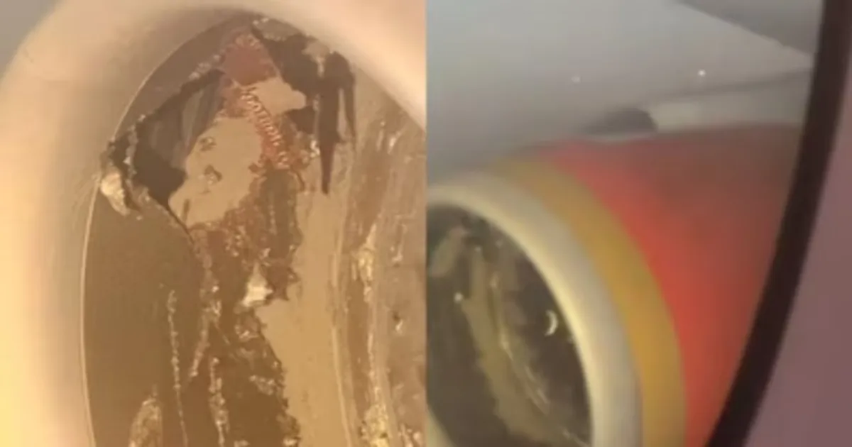 Air India Engine Damaged After Sucking in Baggage Container; Passengers Safe