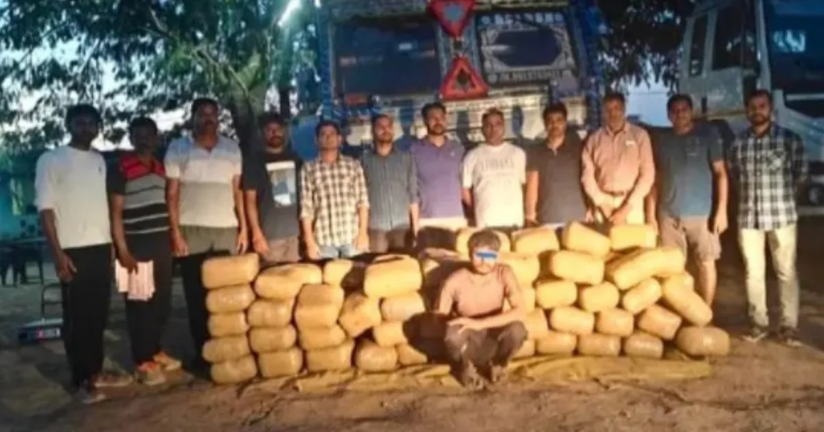 India Seizes Nearly 39 Lakh Kg of Cannabis Since 2020; Odisha Leads the List