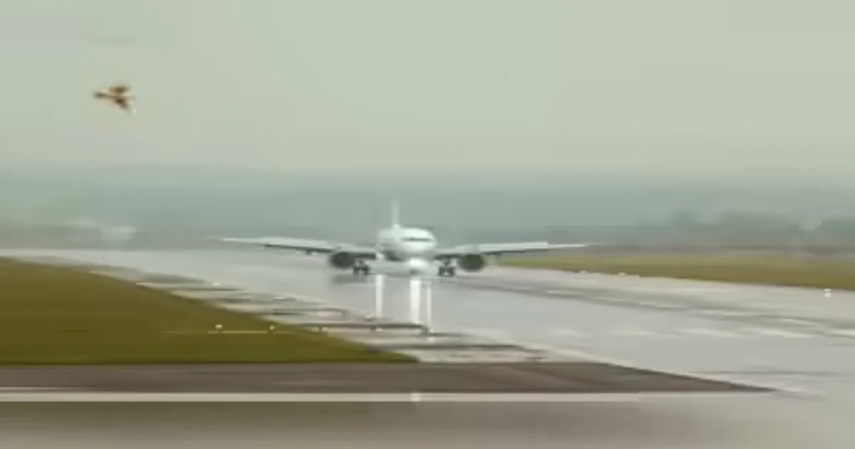 Heavy Rain in Delhi Triggers Widespread IndiGo Flight Delays at IGI Airport