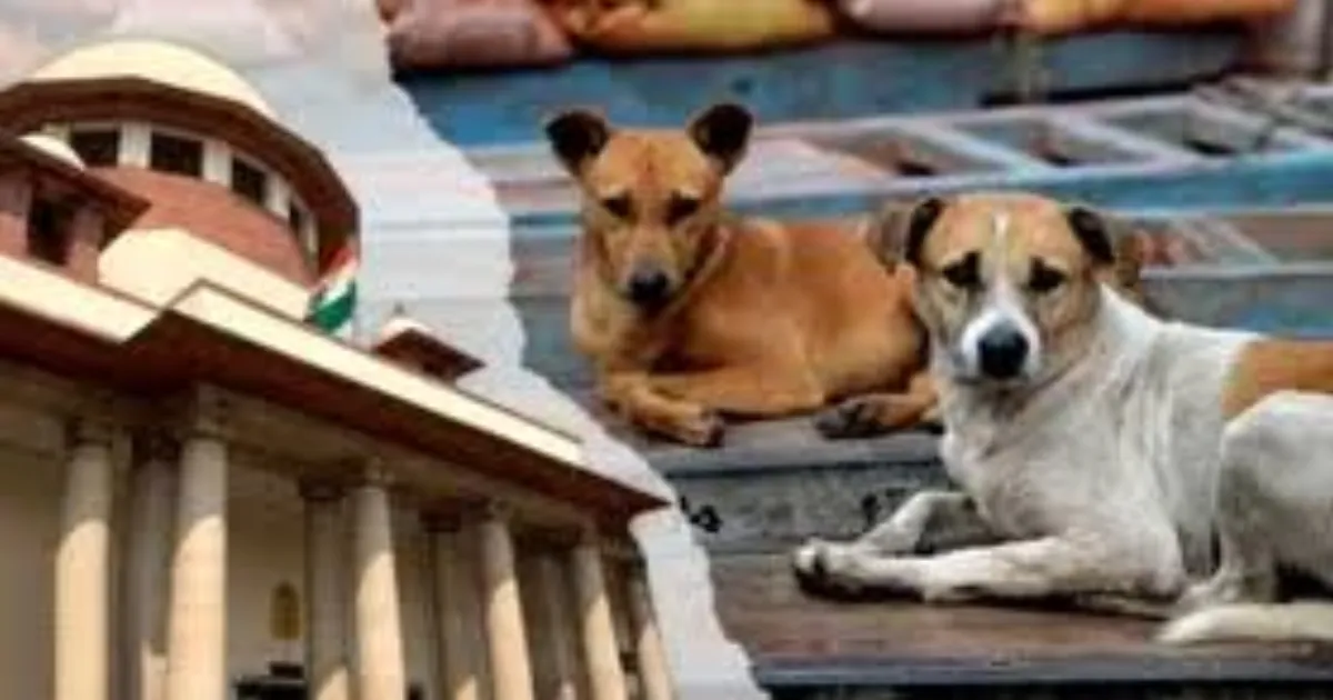 Stray Dog Crisis: Families Back Supreme Court Order 