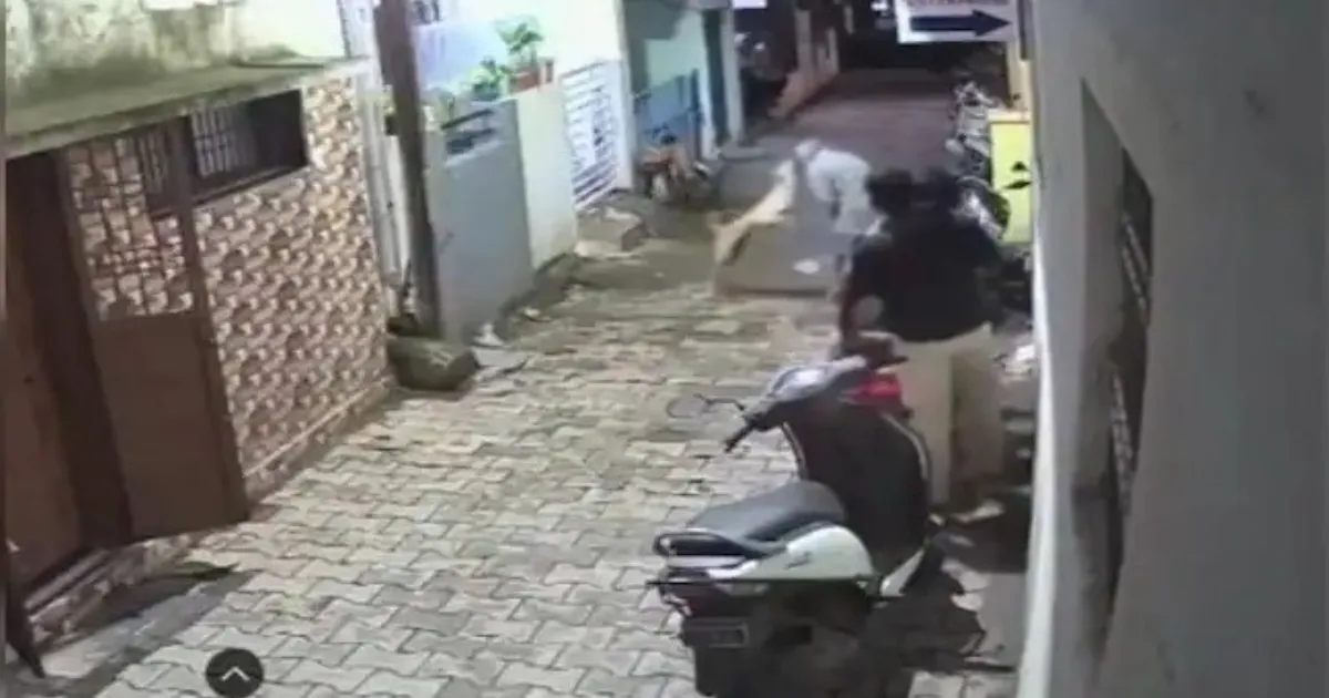 stray-dog-mauls-elderly-man-14th-victim-in-ongoing