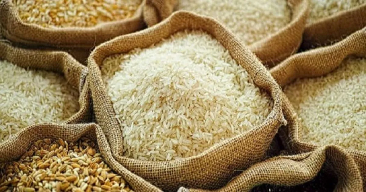 Rice Exporters Seek Budget Incentives and Freight Aid for Global Edge