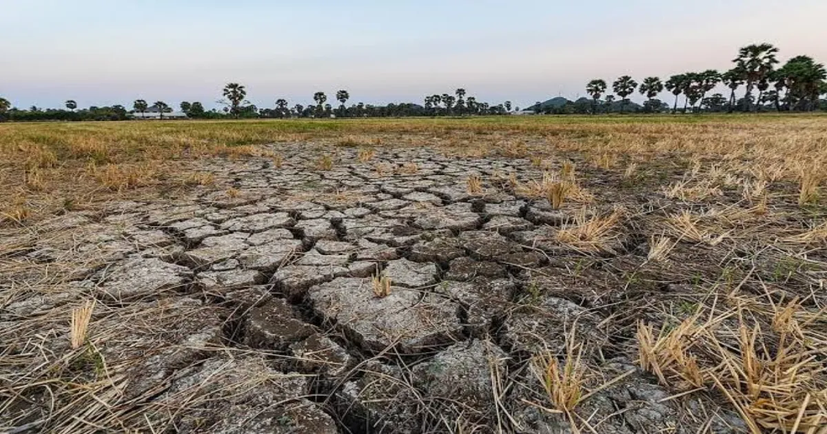 Drought Conditions Spread Across India, Farmers Put On Edge
