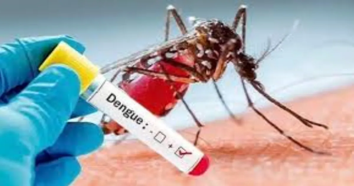 Dengue Crisis Grips Arunachal Pradesh: Urgent Action Needed to Stop the Spread!