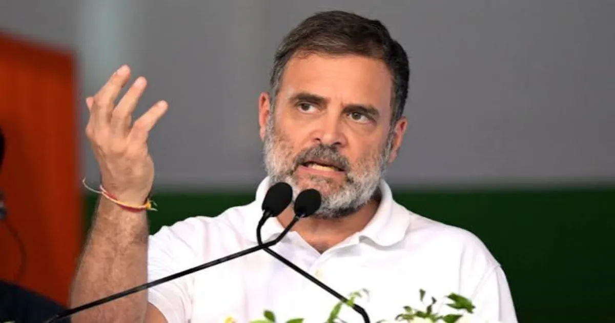 Rahul Gandhi Urges CWC To Continue Resistance Over Poll Irregularity Allegations