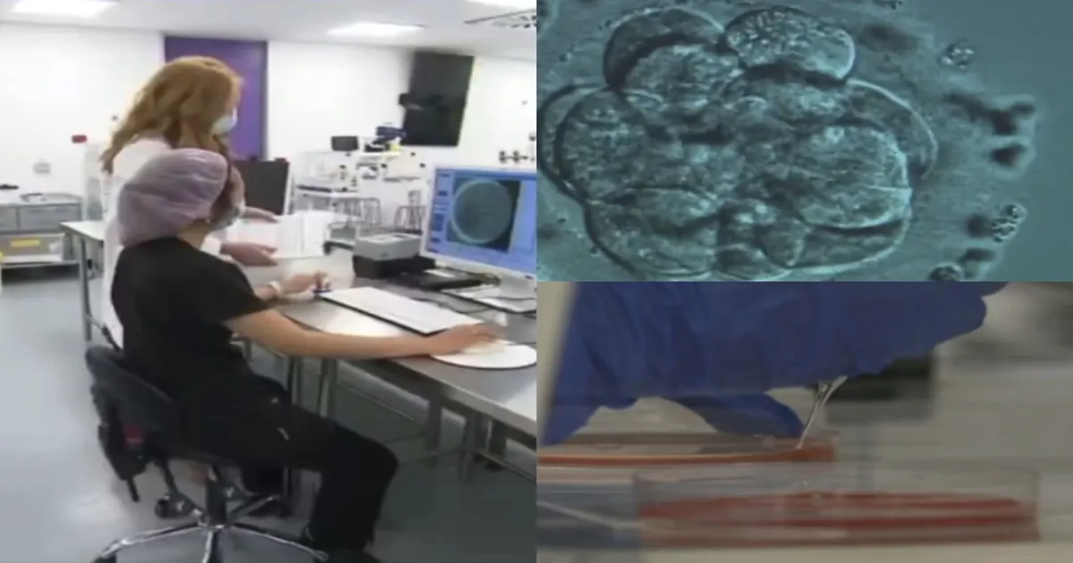 IVF Shocker! Mother Gives Birth to Stranger's Baby